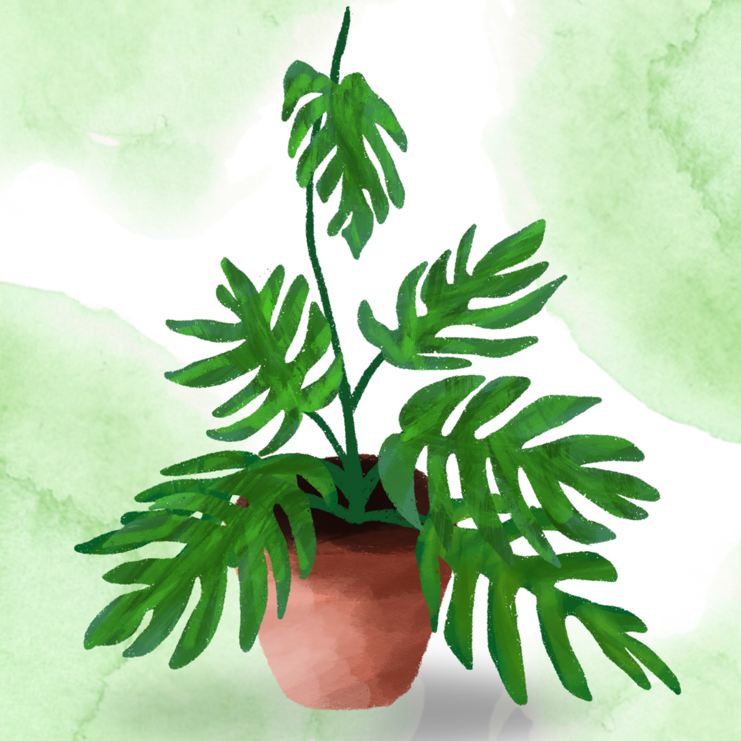 Custom Canvas Print - Turn Your Photo Into Art